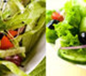 El grupo hostelero Tengroup Food construye una planta de IV gama en El Hierro