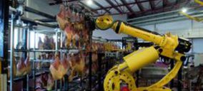 Corporación Guissona avanza un 10%