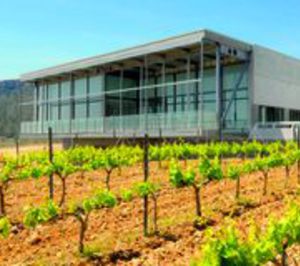 Bodegas Torres crece casi un 8% en 2012