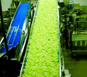 Una ingeniería ejecutará una planta de biogás en una empresa agroindustrial