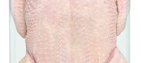 Se materializa la alianza entre AN y la francesa LDC