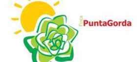 Finca Puntagorda invierte en campo 