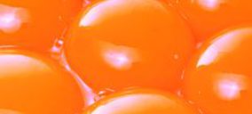 Los activos de Induovo estrenan dueño