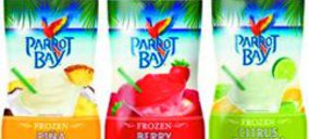 Diageo frena su caída en España y pone el foco en la innovación