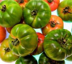 Grupo Paloma mantiene su crecimiento