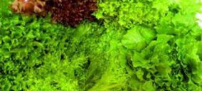 S.A.T. Peregrin invierte en nuevas instalaciones