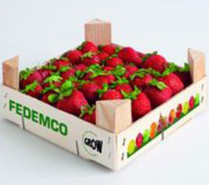 El envase de madera en contacto con los alimentos