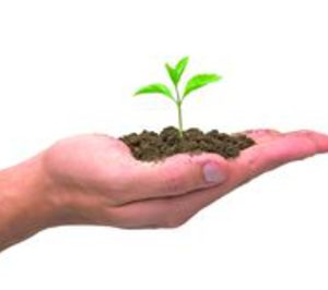 Monflor 2000 prevé seguir creciendo a doble dígito