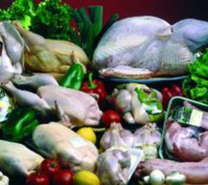 Galsa entra en pérdidas y rebaja su facturación