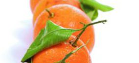 Naranjas Ibañez presenta concurso voluntario