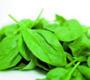 IV Gama: Ahorro de costes pese a la coyuntura