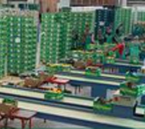 Coop. Hortamar invierte en nuevas líneas