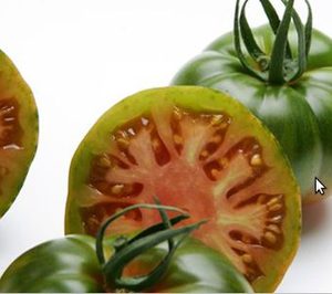 S.A.T. Costa de Níjar finaliza su acuerdo de suministro con Mercadona