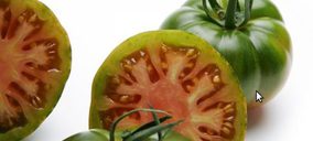 S.A.T. Costa de Níjar finaliza su acuerdo de suministro con Mercadona