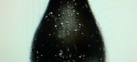 Cervecera Casasola duplicará capacidad