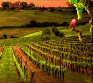 Los compradores de vino gastan online hasta 14€ más por botella