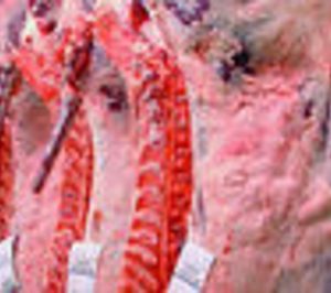 Ternera Natural de Teruel inicia operaciones