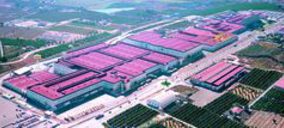 ElPozo, a punto de inaugurar su planta de yorks y fraccionamiento