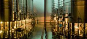 Ramón Roqueta inaugura LaFou Celler en Terra Alta