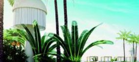 El grupo Pachá pone en marcha su segundo hotel en Ibiza