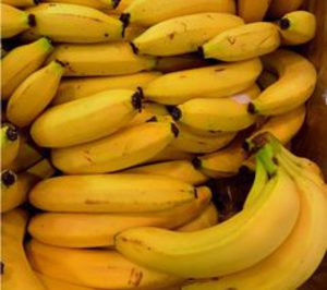 Arc Eurobanan amplía su participación en Fruites dOr