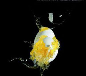 Alimentaria 2014 se vuelca en la internacionalización