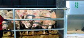 Castellana de Carnes apuesta por la salud con ‘NaturityCLA’