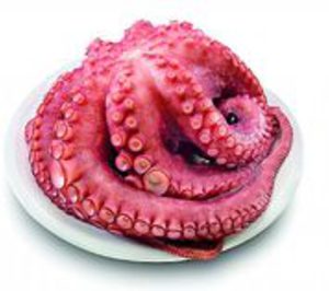 Meripul diversifica hacia nuevos nichos de mercado