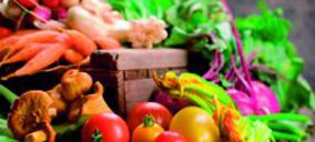 Casi el 60% de los españoles está dispuesto a pagar más por productos de alimentación de calidad