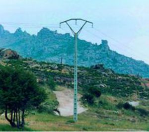 Competencia abre expediente a varias productoras de prefabricados