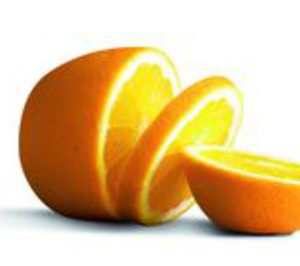 Frutas Rada se centra en la venta de cítricos