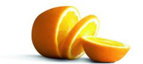 Frutas Rada se centra en la venta de cítricos