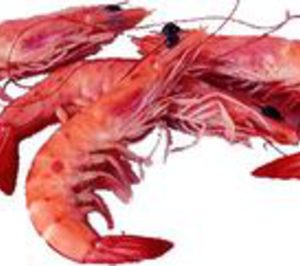 Ángel Luis García Ruiz se convierte en socio único de Macropesca