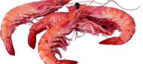 Ángel Luis García Ruiz se convierte en socio único de Macropesca