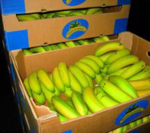 Smurfit Kappa desarrolla un nuevo embalaje para el sector del plátano