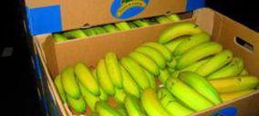 Smurfit Kappa desarrolla un nuevo embalaje para el sector del plátano