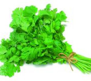 El mercado europeo impulsa a Herbex