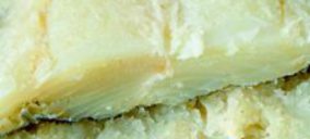 Elaborados del Bacalao se vuelca en el exterior