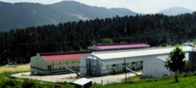 Ovo 12 mantiene el crecimiento