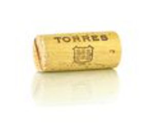 El grupo Torres estrena Director Comercial