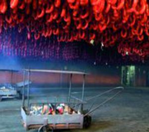 Embutidos Lalinense tecnifica sus instalaciones