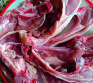 El matadero de Andorra abre por fin sus puertas