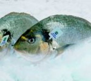 Acuigroup se integrará en el grupo Culmarex