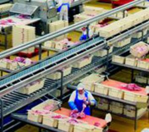 Las instalaciones del matadero de Bembibre, a concurso