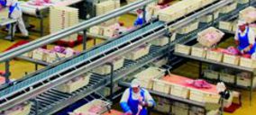 Las instalaciones del matadero de Bembibre, a concurso