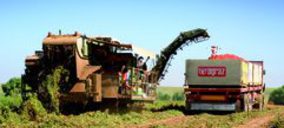 Unilever y Agraz, en un proyecto de sostenibilidad