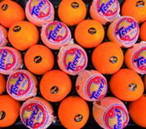 Torres Hnos. y Sucesores potencia su presencia en internet