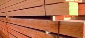 Maderas Soriano va a concurso