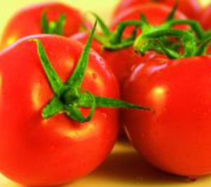 Agrupalmería reinaugura sus antiguas instalaciones en Almería