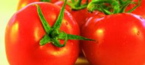 Agrupalmería reinaugura sus antiguas instalaciones en Almería